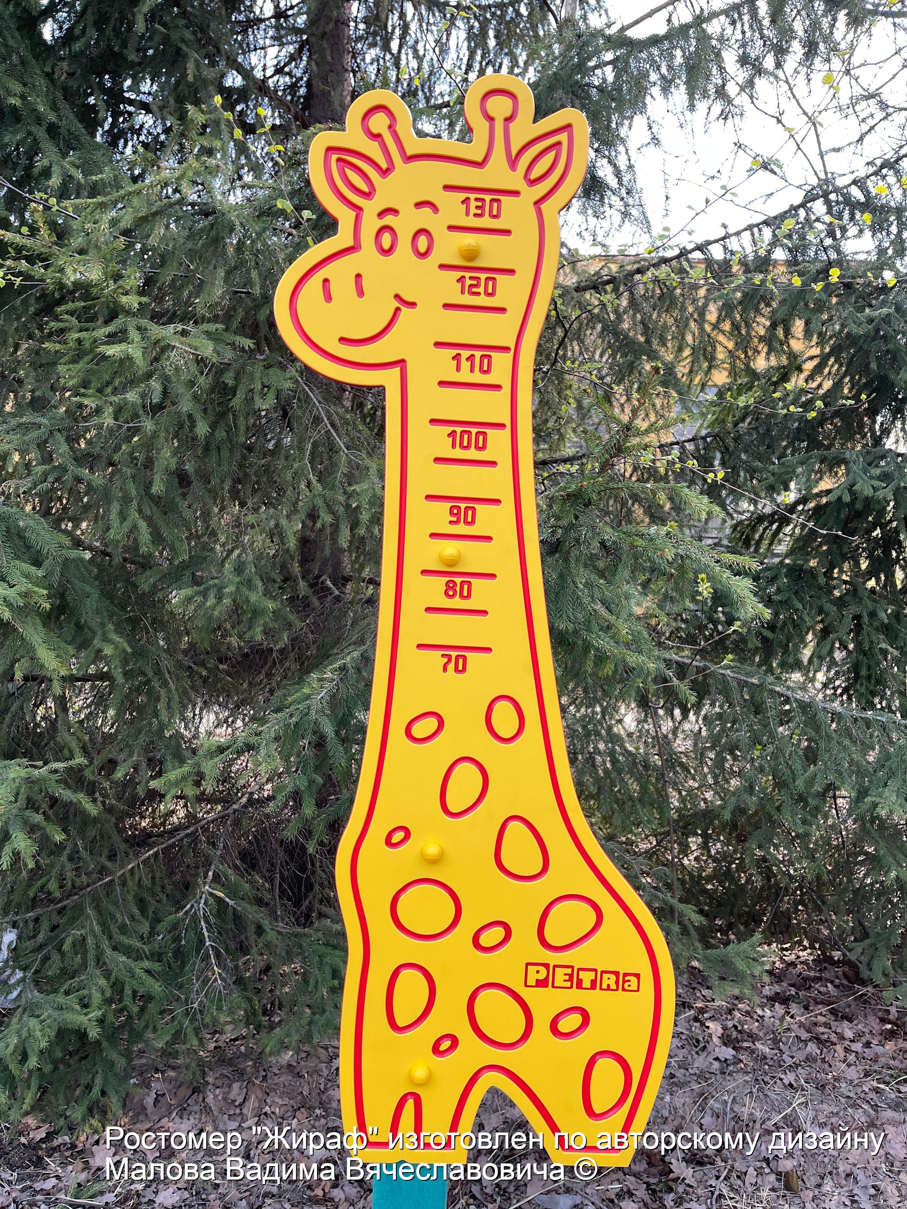 4.1 Ростомер Жираф-22.08.2022